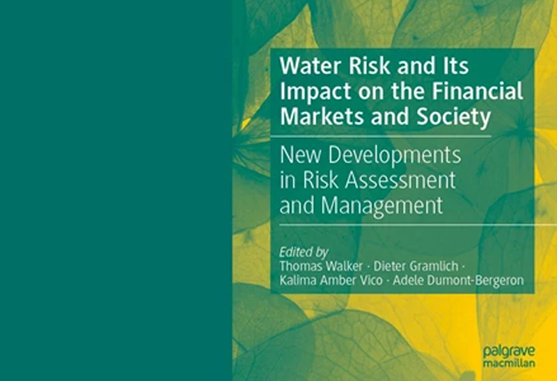 Buchcover "Water risk"