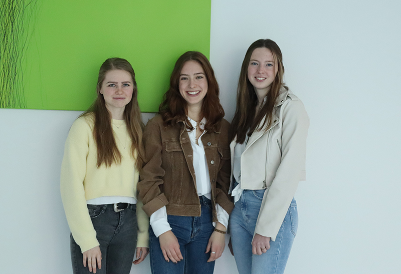 Dozierende als „Corporate Influencer“ für die Zielgruppen andere Dozierende, Studierende und Duale Partner (über B2B-Netzwerke) (Isabell Bullach, Stefanie Göttler, Julia Maier)