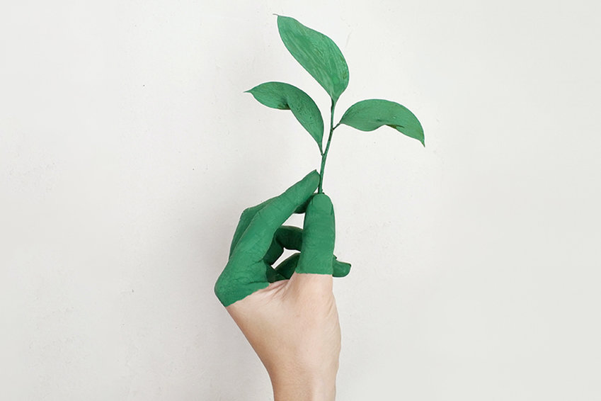 Green Office an der DHBW Heidenheim für mehr Nachhaltigkeit, Umwelt- und Klimaschutz an der Hochschule.