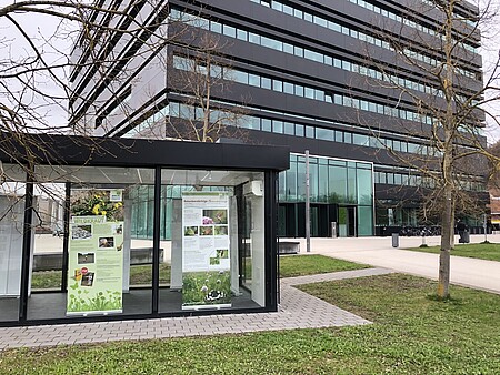 Blickbox.jpeg Blickbox der DHBW Heidenheim